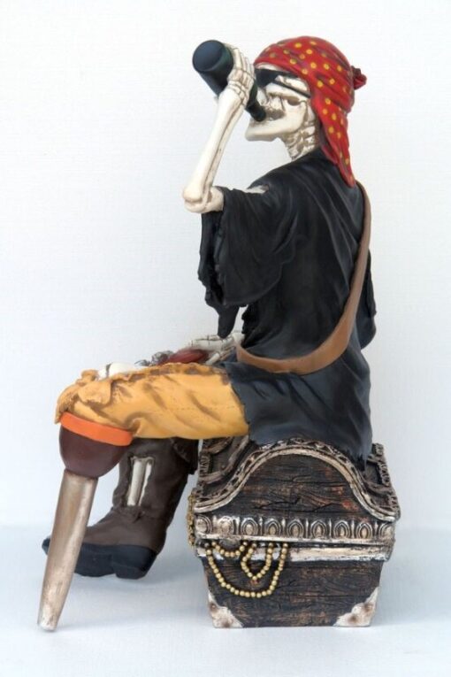 SKELETON PIRATE SITTING ON CHEST JR FJ - Image 3