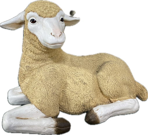 MERINO LAMB LYING JR 020502