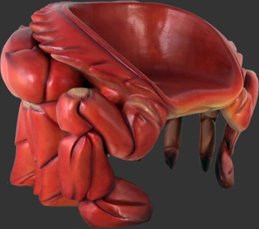 CRAB CHAIR JR 090079