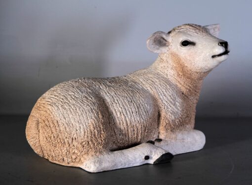 TEXELAAR LAMB - RESTING JR 110034 - Image 6