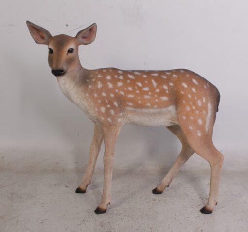 FALLOW DEER-DOE JR 190015 - Image 10
