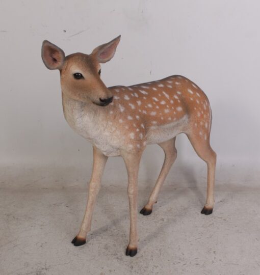 FALLOW DEER-DOE JR 190015 - Image 9