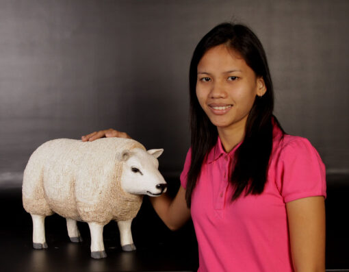 TEXELAAR SHEEP - HEAD UP - SMALL JR 120021