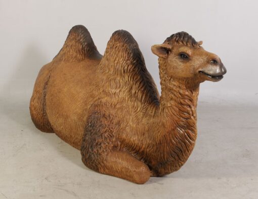 CAMEL BACTRIAN - RESTING JR 120071 - Image 2