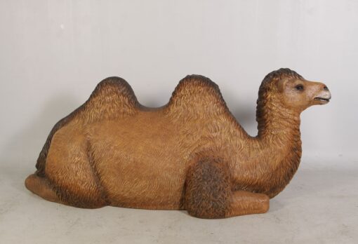 CAMEL BACTRIAN - RESTING JR 120071 - Image 3