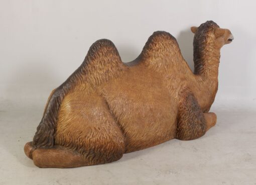 CAMEL BACTRIAN - RESTING JR 120071 - Image 4
