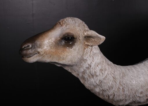 CAMEL DROMEDARY - CALF JR 130008 - Image 3