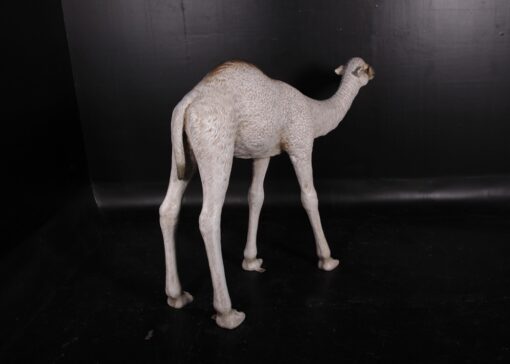 CAMEL DROMEDARY - CALF JR 130008 - Image 4