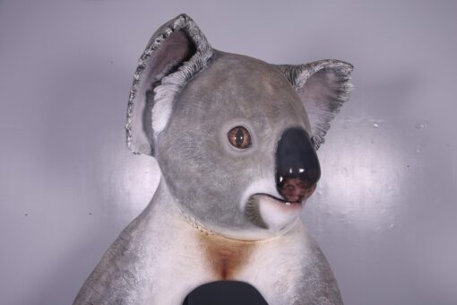 CUDDLE THE KOALA WITH SIGN BOARD JR 150023 - Image 7