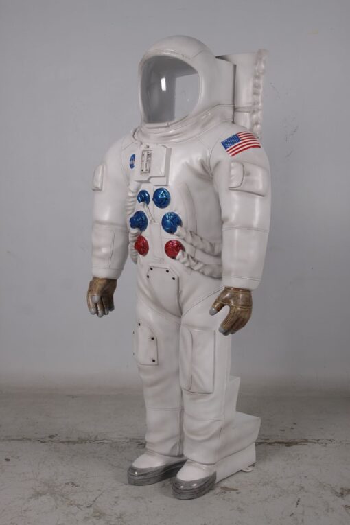 ASTRONAUT PHOTO OP JR 180164 - Image 7