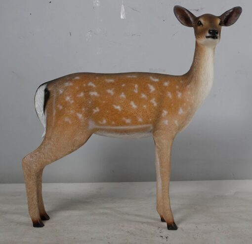 FALLOW DEER-DOE JR 190015