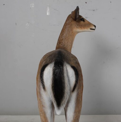 FALLOW DEER-DOE JR 190015 - Image 3