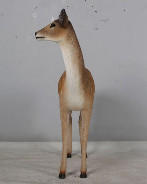 FALLOW DEER-DOE JR 190015 - Image 4