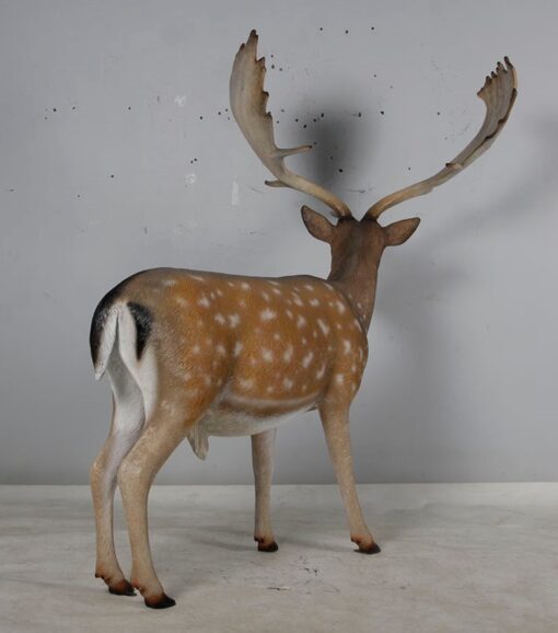 FALLOW DEER-DOE JR 190015 - Image 7