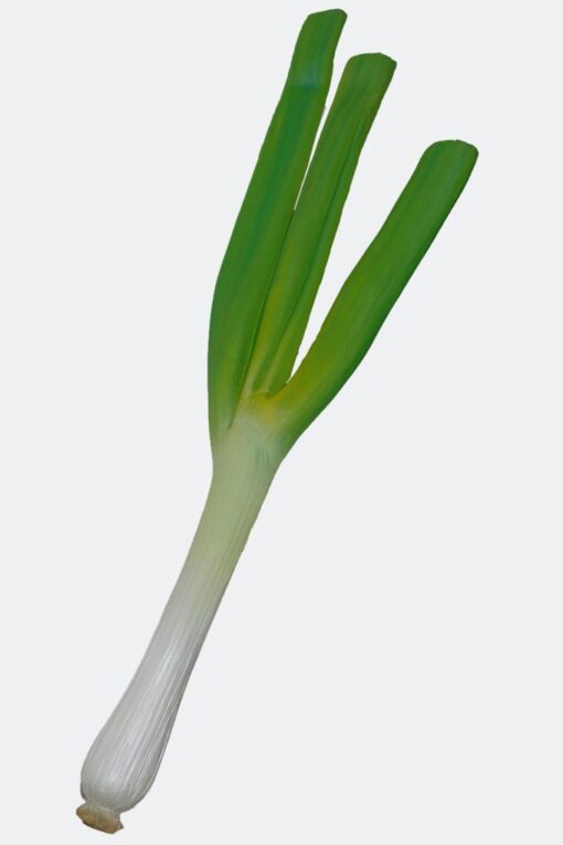 LEEK JR 2528