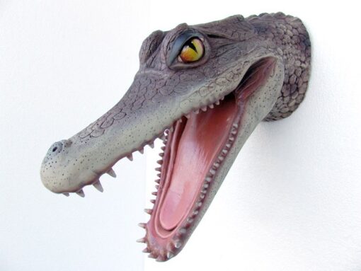 ALLIGATOR HEAD JR 2331