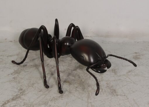 ANT 4FT JR 120046 - Image 3