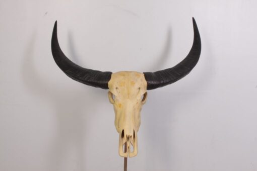 IVORY SKULL LARGE JR 0030 - Image 5