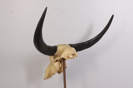 IVORY SKULL LARGE JR 0030 - Image 9