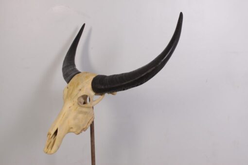 IVORY SKULL LARGE JR 0030 - Image 3