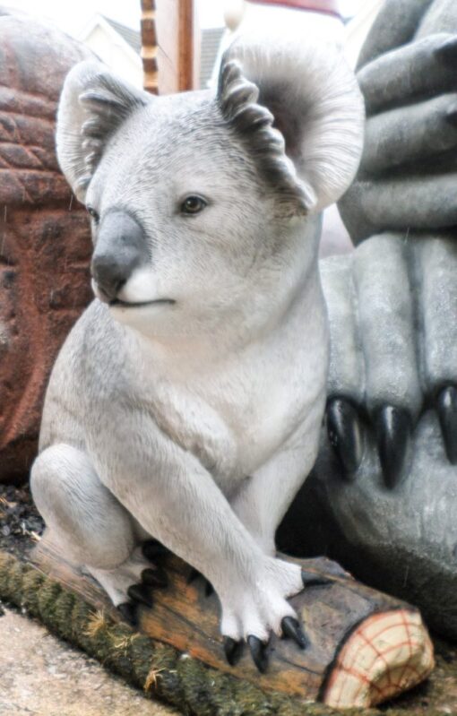 KOALA BEAR JR 2596