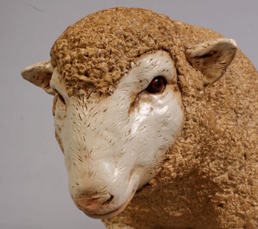 MERINO EWE HEAD DOWN - SMALL JR 110125 - Image 7