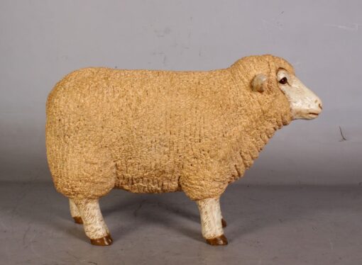 MERINO EWE HEAD UP - SMALL JR 110126 - Image 5