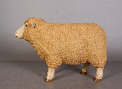 MERINO EWE HEAD UP - SMALL JR 110126 - Image 4