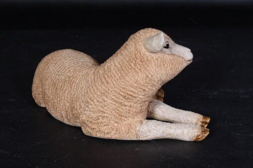 MERINO LAMB RESTING JR 110012 - Image 4
