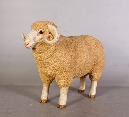 MERINO RAM - SMALL JR 110128 - Image 6