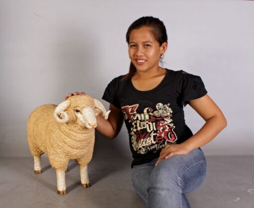 MERINO RAM - SMALL JR 110128