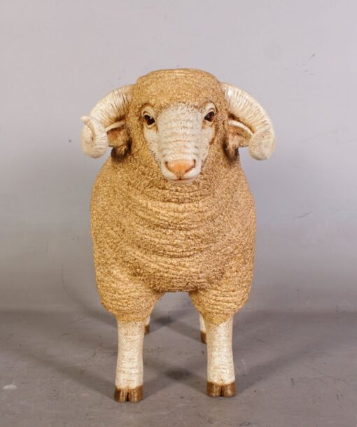 MERINO RAM - SMALL JR 110128 - Image 3