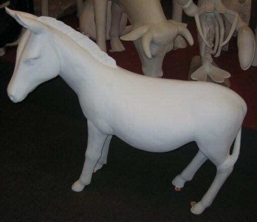 DONKEY JR 0017