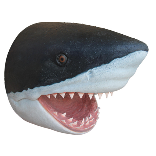 SHARK HEAD JR R-032