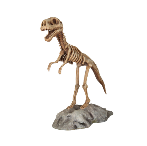 DINO SKELETON JR R-047 - Image 2