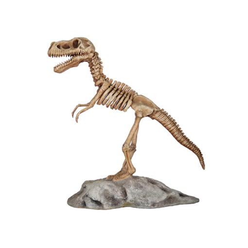 DINO SKELETON JR R-047