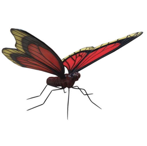 BUTTERFLY JR R-055
