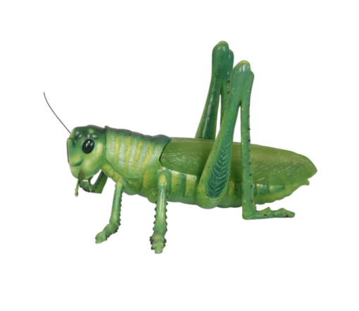 GRASSHOPPER JR R-056