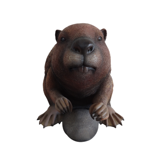 BEAVER JR R-214 - Image 3