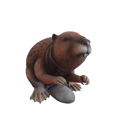 BEAVER JR R-214