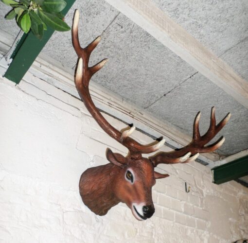 RED DEER STAG HEAD  JR 130095 - Image 2
