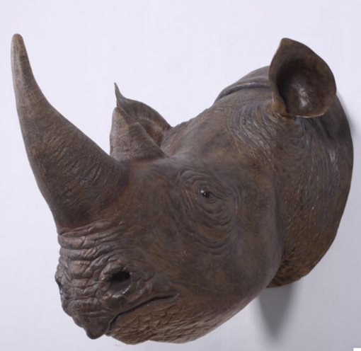 RHINOCEROS HEAD JR 140052