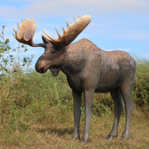 MOOSE LIFESIZE JR 170211