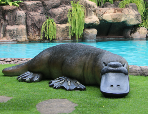 PLATYPUS 2.5m JR 200017