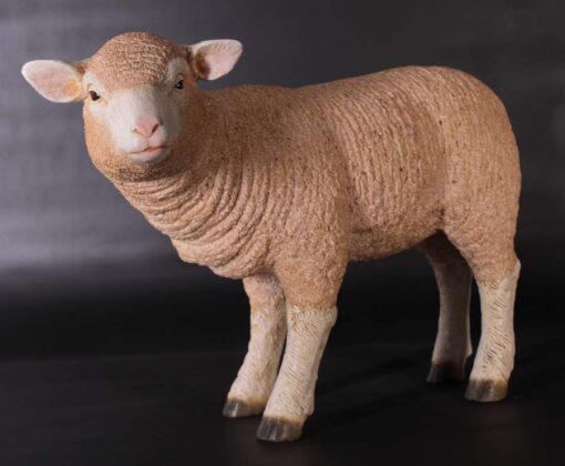 MERINO LAMB STANDING JR 100051 - Image 4