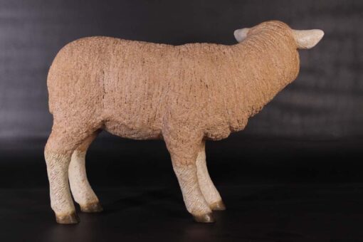 MERINO LAMB STANDING JR 100051 - Image 9