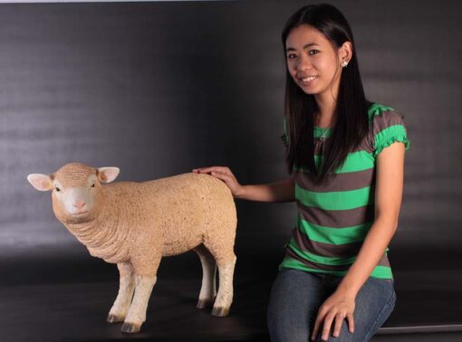 MERINO LAMB STANDING JR 100051