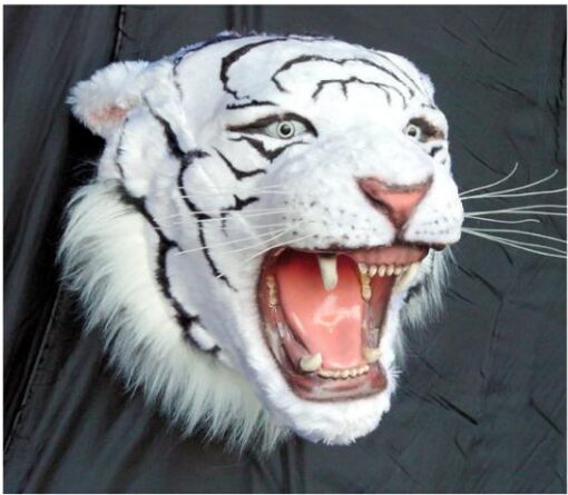 TIGER HEAD JR 2107 - Image 2