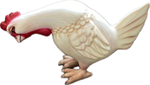 COMIC CHICKEN JR C-003 - Image 3