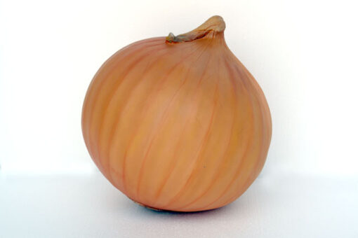 ONION JR 2529